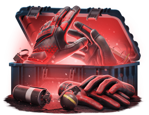 Gloves Case — перчатки